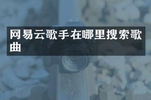 网易云歌手在哪里搜索歌曲