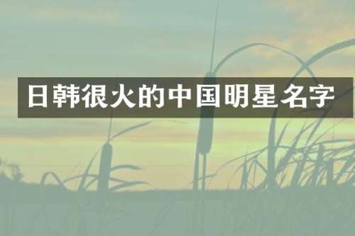 日韩很火的中国明星名字