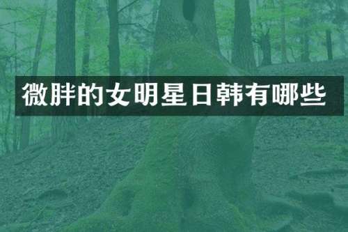 微胖的女明星日韩有哪些