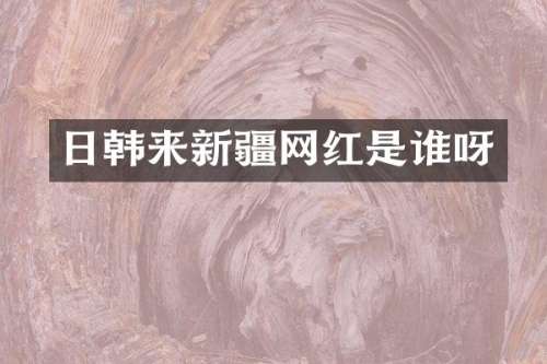日韩来新疆网红是谁呀