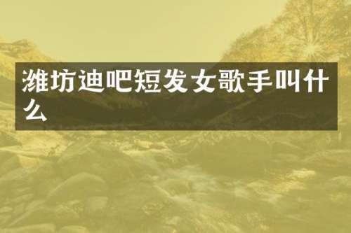 潍坊迪吧短发女歌手叫什么
