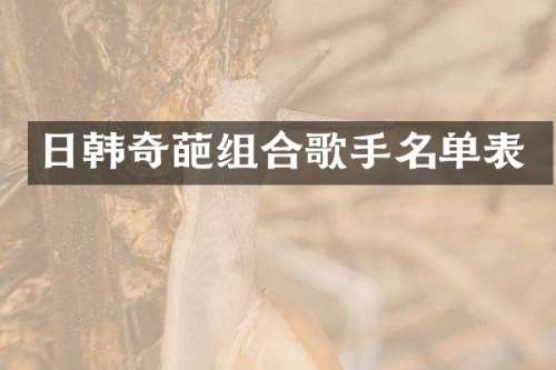 日韩奇葩组合歌手名单表