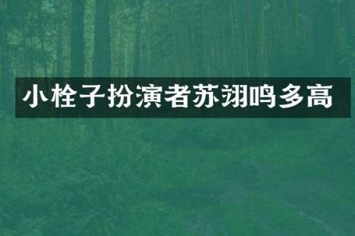 小栓子扮演者苏翊鸣多高