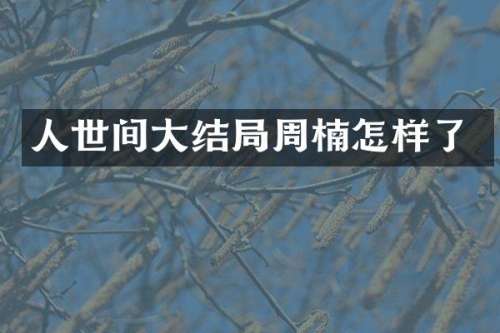人世间大结局周楠怎样了