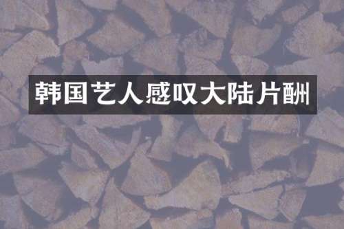 韩国艺人感叹大陆片酬