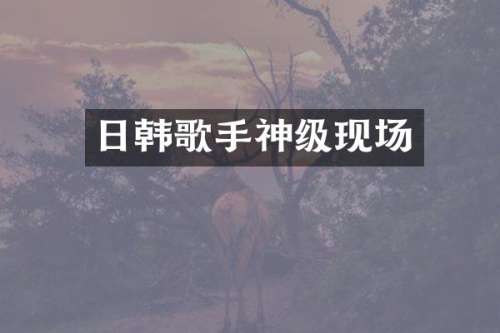 日韩歌手神级现场