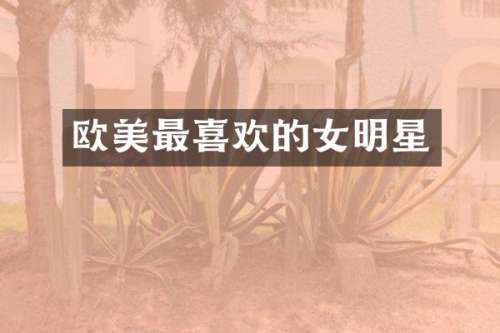 欧美最喜欢的女明星