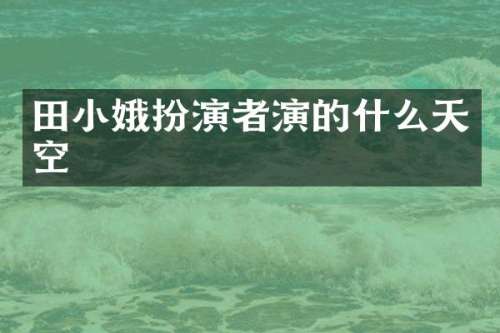 田小娥扮演者演的什么天空