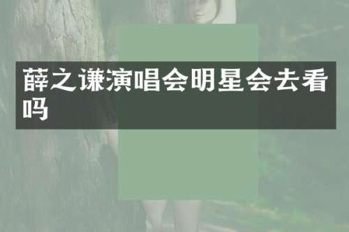 薛之谦演唱会明星会去看吗