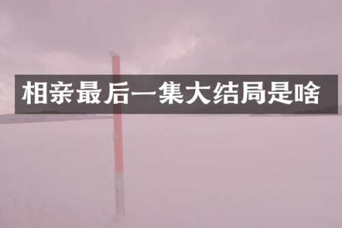 相亲最后一集大结局是啥