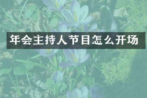 年会主持人节目怎么开场
