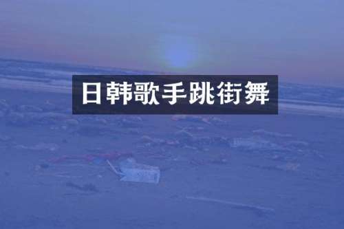 日韩歌手跳街舞