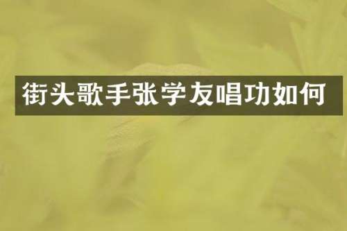 街头歌手张学友唱功如何