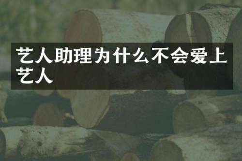 艺人助理为什么不会爱上艺人