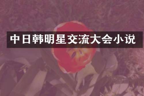 中日韩明星交流大会小说