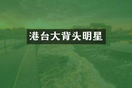 港台大背头明星