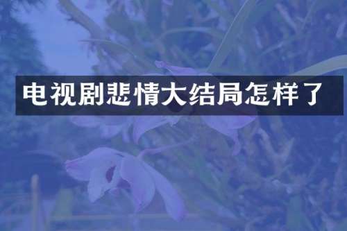 电视剧悲情大结局怎样了