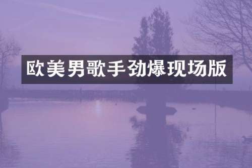 欧美男歌手劲爆现场版