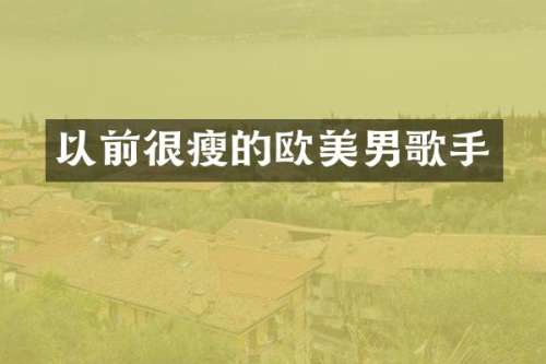 以前很瘦的欧美男歌手