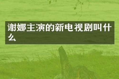 谢娜主演的新电视剧叫什么