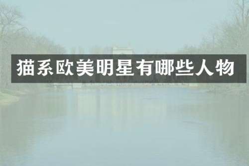 猫系欧美明星有哪些人物