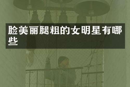 脸美丽腿粗的女明星有哪些