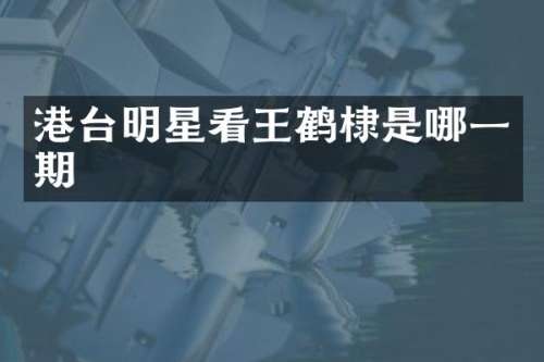 港台明星看王鹤棣是哪一期
