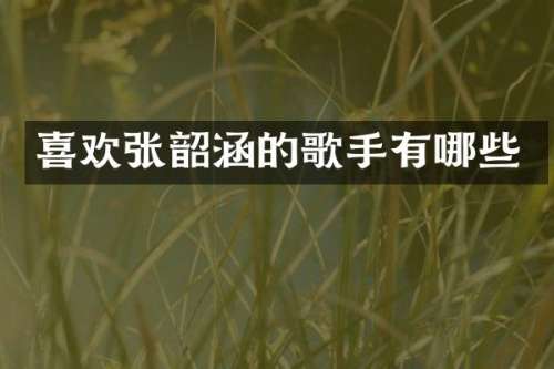 喜欢张韶涵的歌手有哪些