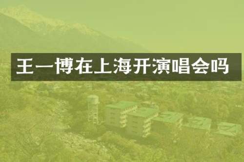 王一博在上海开演唱会吗