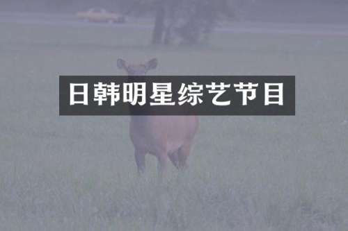 日韩明星综艺节目