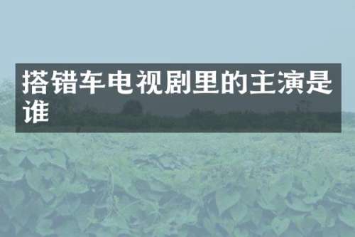 搭错车电视剧里的主演是谁
