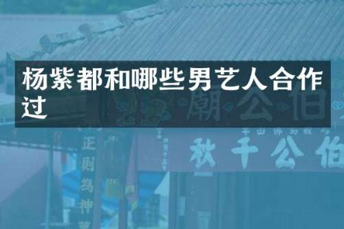 杨紫都和哪些男艺人合作过