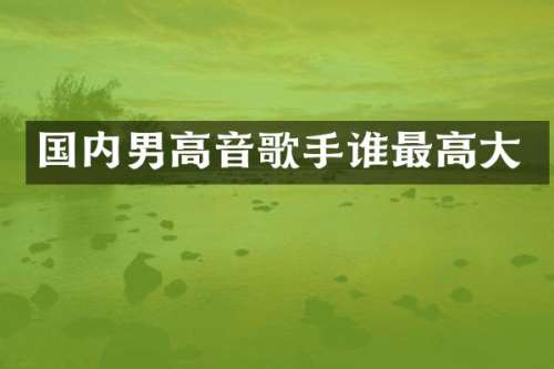 国内男高音歌手谁最高大