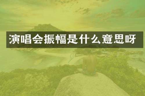 演唱会振幅是什么意思呀