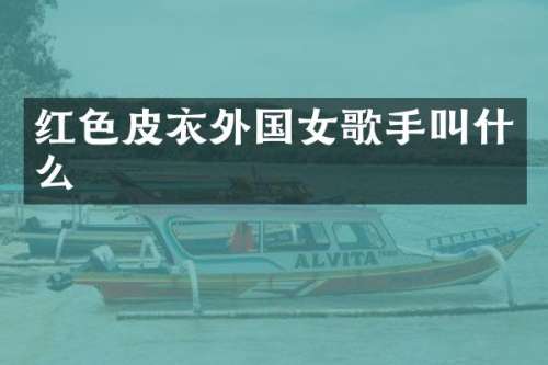 红色皮衣外国女歌手叫什么