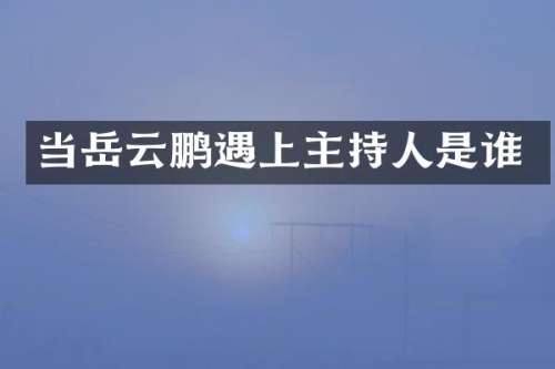 当岳云鹏遇上主持人是谁