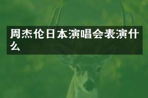 周杰伦日本演唱会表演什么