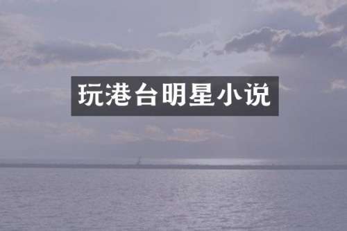 玩港台明星小说