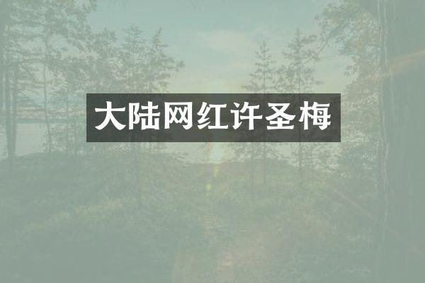 大陆网红许圣梅