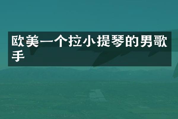 欧美一个拉小提琴的男歌手