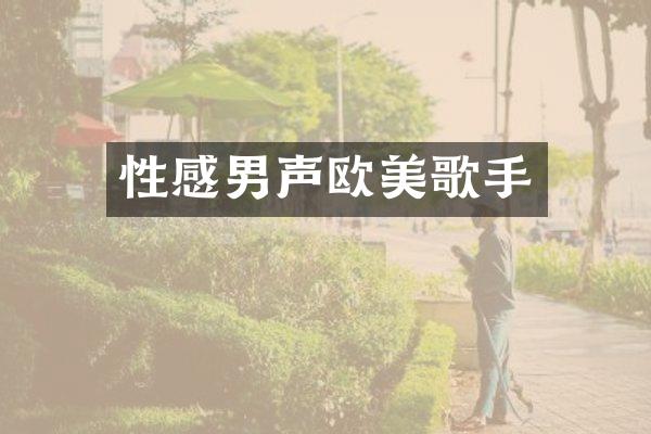 性感男声欧美歌手