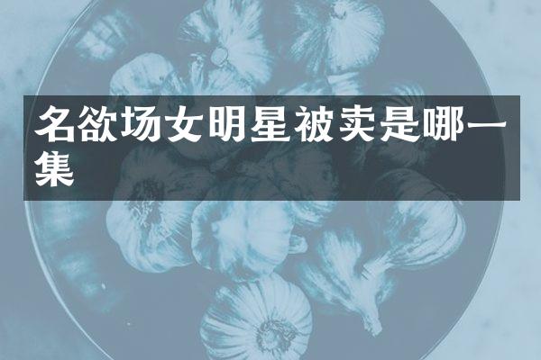 名欲场女明星被卖是哪一集