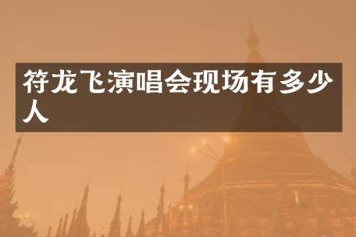 符龙飞演唱会现场有多少人