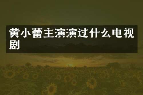 黄小蕾主演演过什么电视剧