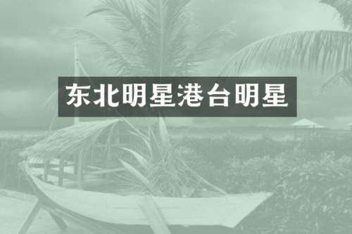东北明星港台明星