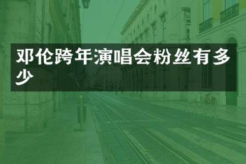 跨年演唱会粉丝有多少