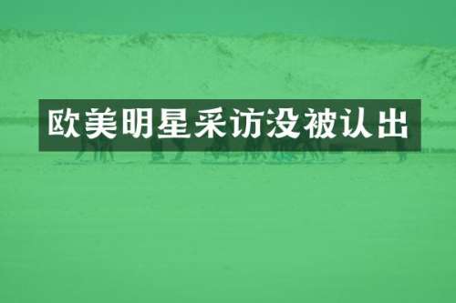 欧美明星采访没被认出