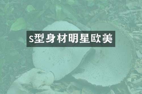 s型身材明星欧美