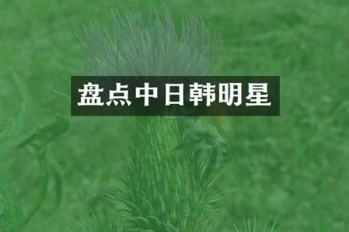 盘点中日韩明星