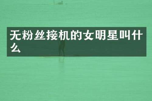 无粉丝接机的女明星叫什么